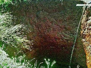 The well fell down in Sindhane | कंधाणे येथे विहीर कोसळली The well fell down in Sindhane | कंधाणे येथे विहीर कोसळली