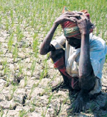 Congress will stop the government | काँग्रेस करणार सरकारची कोंडी