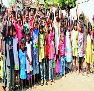 Twenty-three chicks get bitter! | बाराशे चिमुरडय़ांना मिळाली मायेची ऊब! Twenty-three chicks get bitter! | बाराशे चिमुरडय़ांना मिळाली मायेची ऊब!