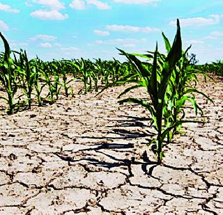 ..and the drought will be a surprise! | ..तर दुष्काळसुद्धा इष्टापत्ती ठरेल!