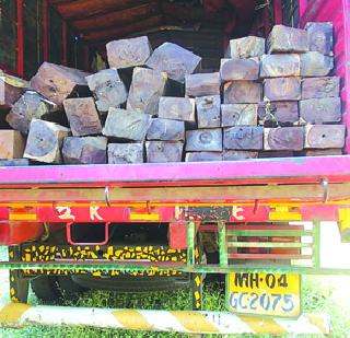 Tansal smuggling wood | तानसात लाकूड तस्करी