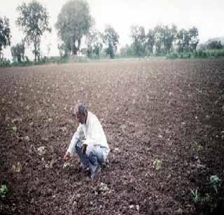 Farmers are concerned about the education of children, the cost of marriage! | शेतक-यांना मुलामुलींचे शिक्षण, लग्न खर्चाची चिंता!