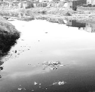 Wild river became poisonous | वालधुनी नदी झाली विषारी
