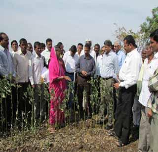 Inspection of Drought Conditions | दुष्काळजन्य परिस्थितीची पाहणी