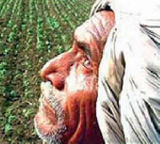 Waiting for the package of drought-hit farmers for 4.5 billion crores | दुष्काळग्रस्त शेतकऱ्यांना साडेचार हजार कोटींच्या पॅकेजची प्रतीक्षा Waiting for the package of drought-hit farmers for 4.5 billion crores | दुष्काळग्रस्त शेतकऱ्यांना साडेचार हजार कोटींच्या पॅकेजची प्रतीक्षा