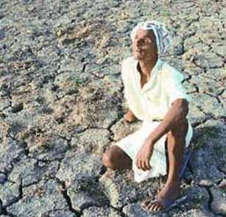 Madhesi's old farmer wants to marry! | मेडशीच्या वृध्द शेतक-याने मागीतली इच्छामरणाची परवानगी!