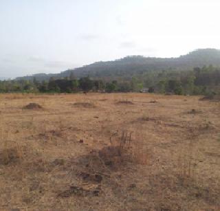 State Government's non-existent policy regarding gross permissions | अकृषक परवानग्यांबाबत राज्य शासनाचे दिशाहीन धोरण State Government's non-existent policy regarding gross permissions | अकृषक परवानग्यांबाबत राज्य शासनाचे दिशाहीन धोरण