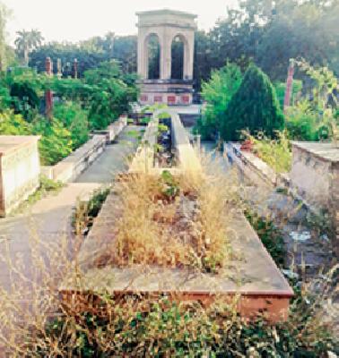 Do you mean shrimp jungle? | झुडपी जंगल म्हणायचे का?