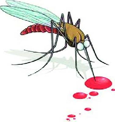 34 dengue patients found in two days in the city | शहरात दोन दिवसांत आढळले ३४ डेंग्यूसदृश रुग्ण