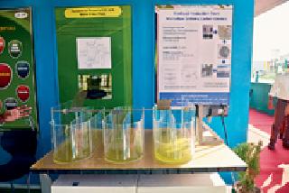 A boon that can be a pitiable land | पडिक जमीन ठरू शकते वरदान A boon that can be a pitiable land | पडिक जमीन ठरू शकते वरदान