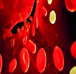 Now NanoWire will protect the human body cells | आता नॅनोवायर करणार मानवी शरीरातील पेशींची सुरक्षा Now NanoWire will protect the human body cells | आता नॅनोवायर करणार मानवी शरीरातील पेशींची सुरक्षा