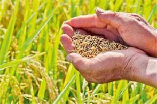 Wait debt relief | प्रतीक्षा कर्जमुक्तीची Wait debt relief | प्रतीक्षा कर्जमुक्तीची