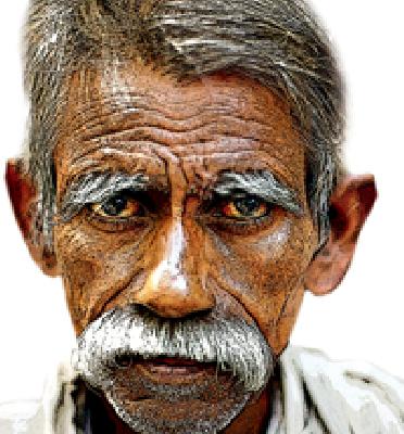 Vidarbha falls in drought | दुष्काळाच्या गर्तेत विदर्भ Vidarbha falls in drought | दुष्काळाच्या गर्तेत विदर्भ