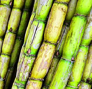 Conflicts over the first installment | पहिल्या हप्त्यावरून पेटणार संघर्ष