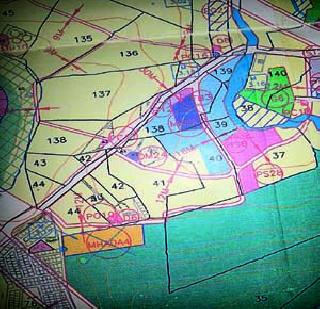 Authorized vegetable board will be standing in Warje | वारज्यात उभी राहणार अधिकृत भाजी मंडई