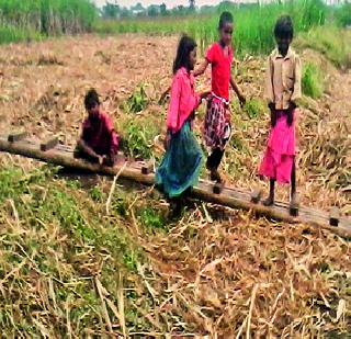 In the cane foil | उसाच्या फडात राबतायेत चिमुकले हात