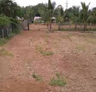 Thousands of acres of land bore | हजारो एकर जमीन नापीक