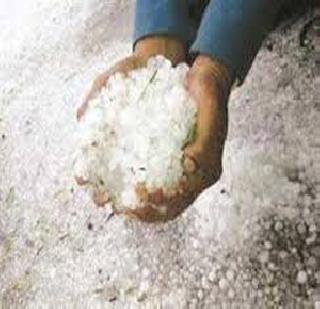 Announcing the government help to hailstorm affected | गारपीटग्रस्तांना सरकारची मदत जाहीर