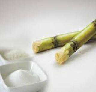 Sugar factory sugarcane | साखर कारखानदारी उसाच्या चरकात