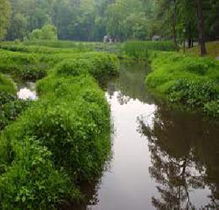 Water scheme! | पाणी योजना ! Water scheme! | पाणी योजना !