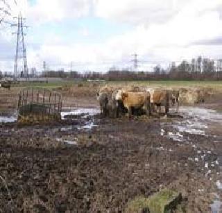 150 hectare farmland barren | १५० हेक्टर शेतजमीन नापीक