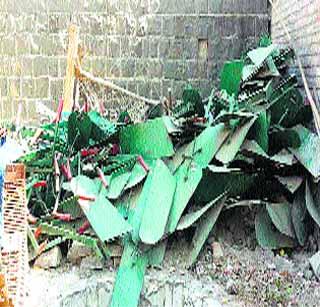 Dusting of agricultural literature due to non-warehousing | गोदामाअभावी कृषी साहित्याची धूळधाण