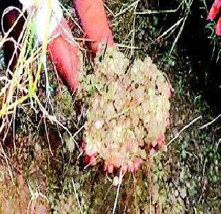 Change Lifestyle! | लाइफस्टाईल बदला! Change Lifestyle! | लाइफस्टाईल बदला!