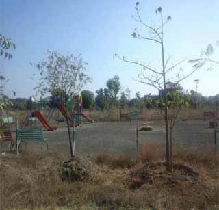 Scenic forestry in a deserted place! | ओसाड जागेवर साकारले निसर्गरम्य वनउद्यान! Scenic forestry in a deserted place! | ओसाड जागेवर साकारले निसर्गरम्य वनउद्यान!