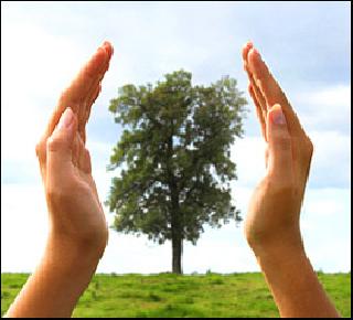 Echo-Sensete's ghost on 45 villages in Karjat | कर्जतमध्ये ४५ गावांवर इको-सेन्सेटिव्हचे भूत