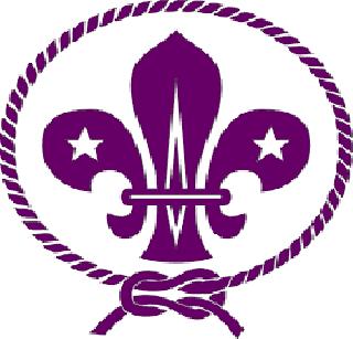 Scouts Gather's Student Collection | स्काऊट्स गाईडचे विद्यार्थी करताहेत वर्गणी गोळा