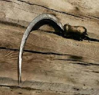 Prosecutors assault Cheja | शेजा-यावर कोयत्याने प्राणघातक हल्ला