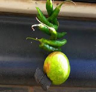School lemon-pepper to prevent demonization! | भूतबाधा टाळण्यासाठी शाळेला ‘लिंबू-मिरची’! School lemon-pepper to prevent demonization! | भूतबाधा टाळण्यासाठी शाळेला ‘लिंबू-मिरची’!