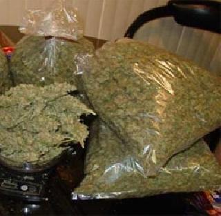 Acid substances seized in the light of the liver | मिरजेत लॉजच्या झडतीत अमली पदार्थ जप्त Acid substances seized in the light of the liver | मिरजेत लॉजच्या झडतीत अमली पदार्थ जप्त