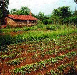 New Land Land Acquisition Act on Dham | नवीन जमीन भूसंपादन कायदा धाब्यावर