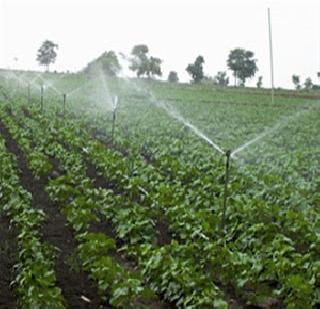 Center's award to the Agriculture Department of the State | राज्याच्या कृषी विभागाला केंद्राचा पुरस्कार