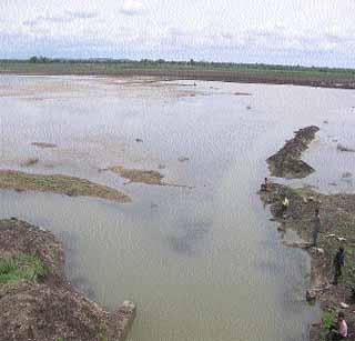 The company says, give all the work work orders! | कंपनी म्हणते, सर्व कामांची वर्कऑर्डर द्या!