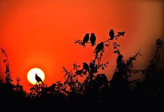 There was a dawn. | अरुणोदय झाला.