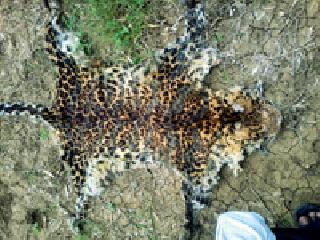 8 out of 11 accused were arrested | ११ पैकी ८ आरोपींना अटक 8 out of 11 accused were arrested | ११ पैकी ८ आरोपींना अटक