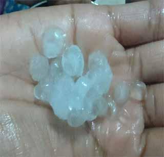 In Babapur, there was a lot of lemon size | बाळापुरात लिंबूच्या आकाराएवढी गार पडली In Babapur, there was a lot of lemon size | बाळापुरात लिंबूच्या आकाराएवढी गार पडली