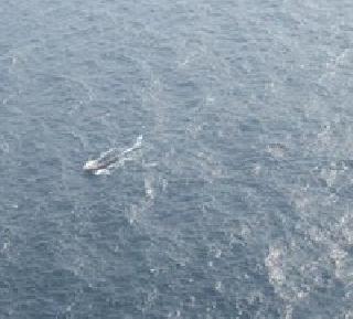 Like 26/11, the attack was over, the terrorists got water | 26/11 सारखा हल्ला टळला, दहशतवाद्यांच्या बोटीला जलसमाधी Like 26/11, the attack was over, the terrorists got water | 26/11 सारखा हल्ला टळला, दहशतवाद्यांच्या बोटीला जलसमाधी