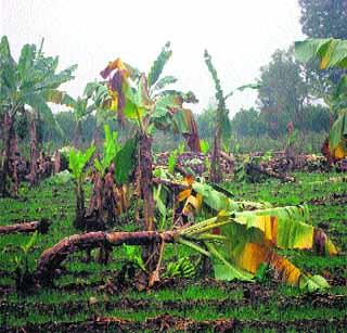 Drought is the fifth consecutive! | दुष्काळ पुजला पाचवीलाच!