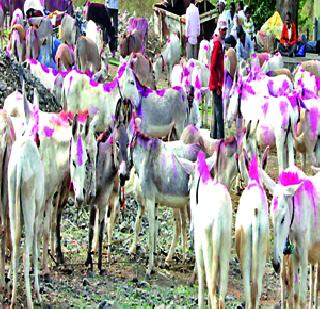 Prajnimitra | पौष पौर्णिमेनिमित्त जेजुरीत भाविकांची रीघ Prajnimitra | पौष पौर्णिमेनिमित्त जेजुरीत भाविकांची रीघ