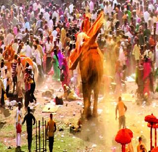 Elephant Bihtar in Satkhira Khandoba Yatra | साताऱ्यातील खंडोबा यात्रेत हत्ती बिथरला Elephant Bihtar in Satkhira Khandoba Yatra | साताऱ्यातील खंडोबा यात्रेत हत्ती बिथरला