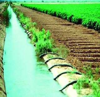 'Break' of water conservation | जलसंधारणाला ‘ब्रेक’ 'Break' of water conservation | जलसंधारणाला ‘ब्रेक’