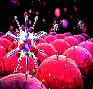 Researchers from the researchers started a study in the lifestyle of the villages | खेड्यांतील जीवनशैलीवर संशोधकांकडून अभ्यास सुरु