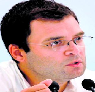 Court relief to Rahul Gandhi | राहुल गांधी यांना न्यायालयाचा दिलासा