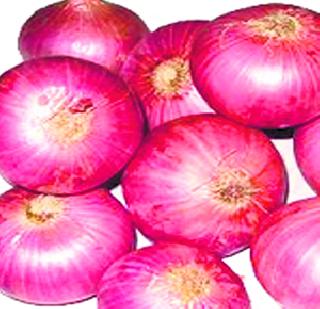 The advantage of rabi crops due to cold is the advantage | थंडीमुळे रब्बी पिकांना होतोय फायदा