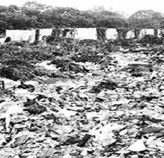 Useful for plastic bags! | प्लास्टिक पिशव्या वापरणाऱ्यांनो सावधान!