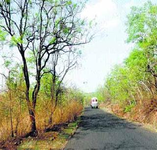 Wildlife hazard in Dnyanganga Wildlife Sanctuary | ज्ञानगंगा अभयारण्यातील वन्यजीव धोक्यात Wildlife hazard in Dnyanganga Wildlife Sanctuary | ज्ञानगंगा अभयारण्यातील वन्यजीव धोक्यात