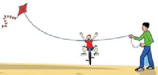 Nylon Manjala High Court Chopping | नायलॉन मांजाला हायकोर्टाचा काट